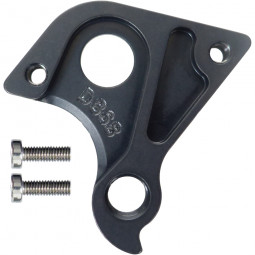 D868 derailleur hanger