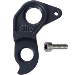 D869 derailleur hanger