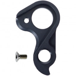 D870 derailleur hanger