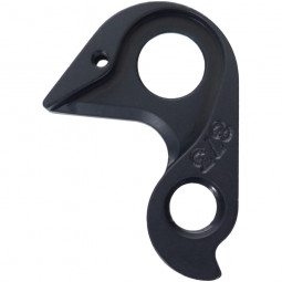 D873 derailleur hanger