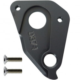 D874 Derailleur hanger