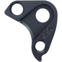 D875 Derailleur hanger