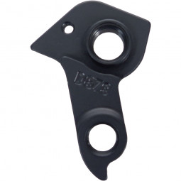 D879 derailleur hanger