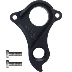 D880 derailleur hanger...