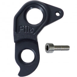 D884 derailleur hanger