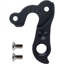 D888 Derailleur hanger...