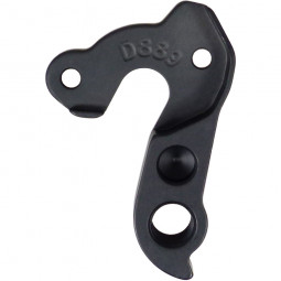 D889 derailleur hanger