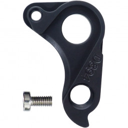 D894 derailleur hanger...