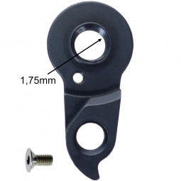 D901 derailleur hanger