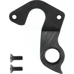 D389 derailleur hanger...