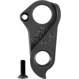 D398 derailleur hanger...