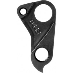 D448 derailleur hanger...