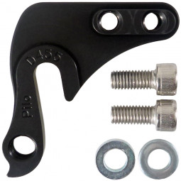 D455 derailleur hanger