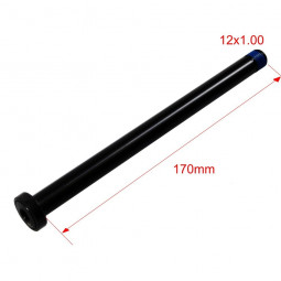 GIANT 170x12x1.00mm Rear axle