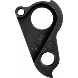 Patte de dérailleur D484...