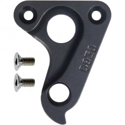 D930 derailleur hanger