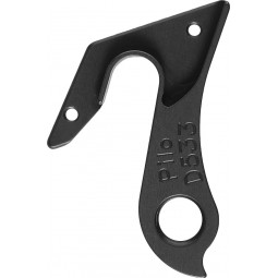 D533 derailleur hanger...