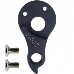D1003 Derailleur hanger