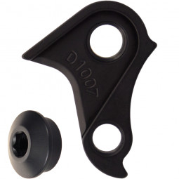 D1007 Derailleur hanger
