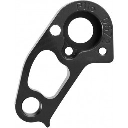 D572 derailleur hanger