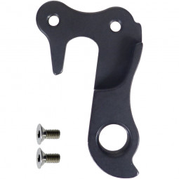 D1010 Derailleur hanger