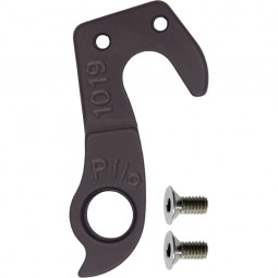 D1019 Derailleur hanger