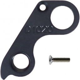 D1020 Derailleur hanger