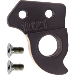 D1021 Derailleur hanger