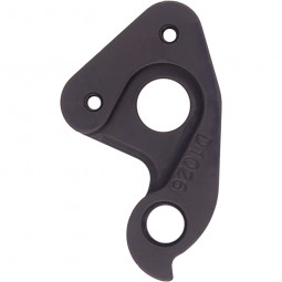 D1026 Derailleur hanger