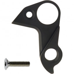 D1029 Derailleur hanger