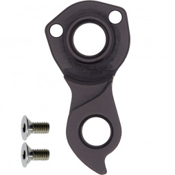 D1046 Derailleur hanger