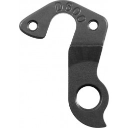 D600 derailleur hanger...