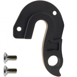 D1049 Derailleur hanger