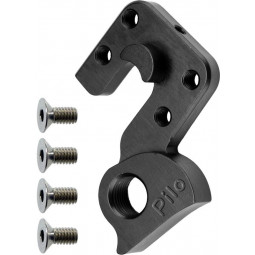 D606 derailleur hanger...