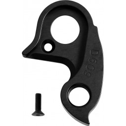 D609 derailleur hanger...