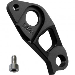 D621 derailleur hanger...