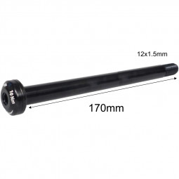 170x12x1,5mm Rear axle -...