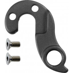 GIANT RE4U derailleur...