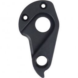 D981 Derailleur hanger