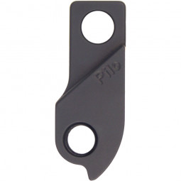 D984 Derailleur hanger