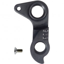D996 derailleur hanger