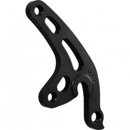 D663 derailleur hanger...