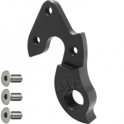 D669 derailleur hanger