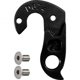 D674 derailleur hanger
