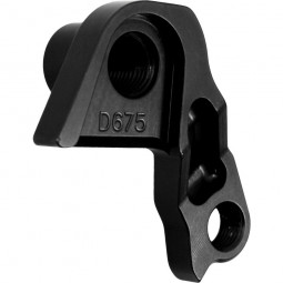 D675 derailleur hanger ORBEA