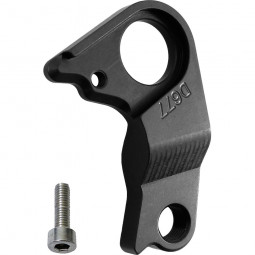 D677 derailleur hanger WHYTE