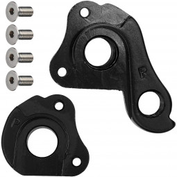 C1357505 derailleur hanger...