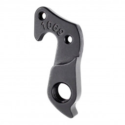 D1069 Derailleur hanger