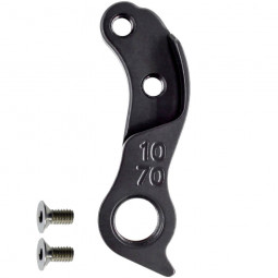 D1070 Derailleur hanger