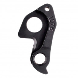 D1076 derailleur hanger